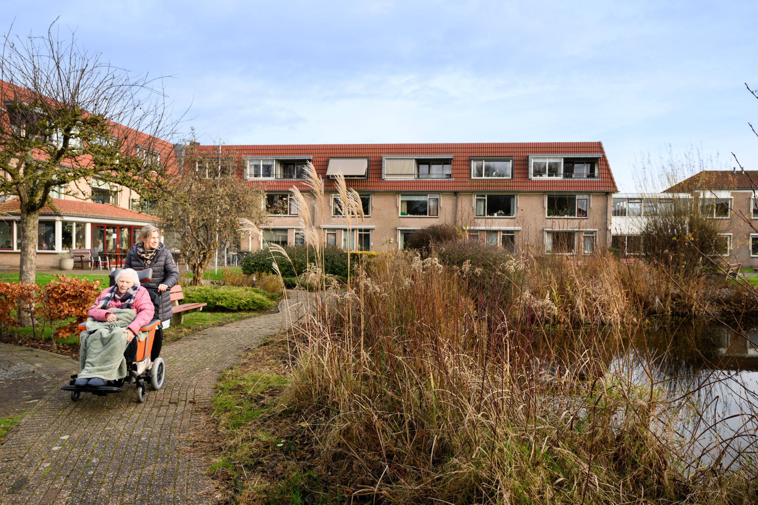 Artikel afbeelding